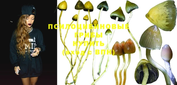 винт Инта