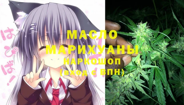 винт Инта