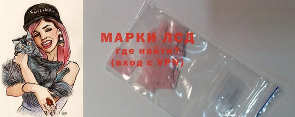 прущие грибы Иннополис