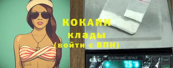 прущие грибы Иннополис