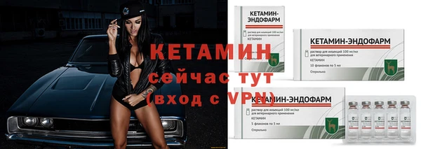 прущие грибы Иннополис