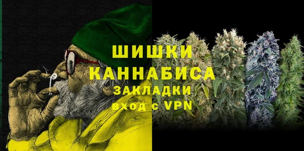 прущие грибы Иннополис
