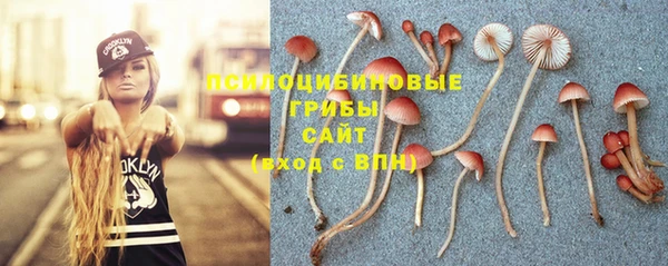 винт Инта