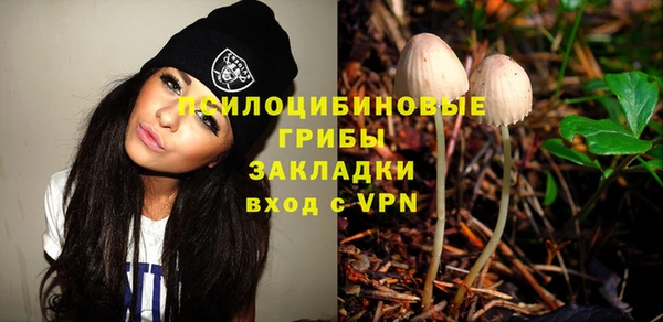 винт Инта
