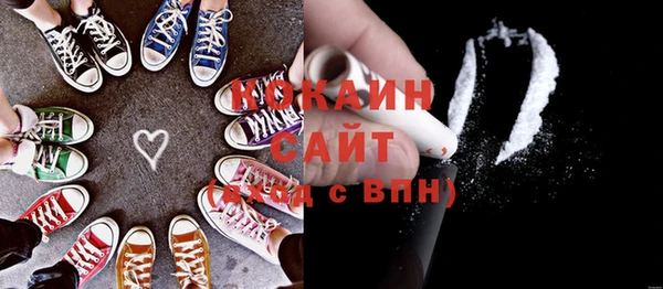 винт Инта