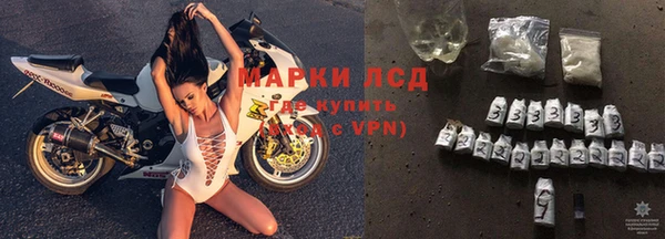 прущие грибы Иннополис
