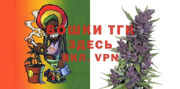 прущие грибы Иннополис