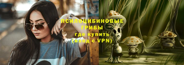 винт Инта