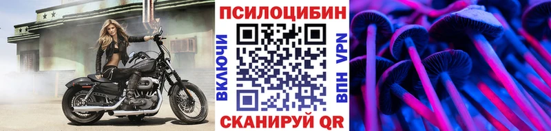 Псилоцибиновые грибы Psilocybine cubensis  Купить где  Курганинск 